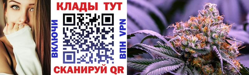 Какие есть наркотики Бакал А ПВП  ГАШ  АМФ  Псилоцибиновые грибы  COCAIN 