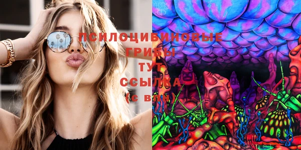 дживик Армянск