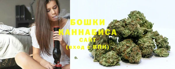 spice Аркадак