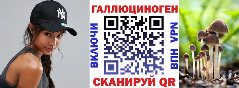 darknet официальный сайт  Бакал  Галлюциногенные грибы Psilocybe 